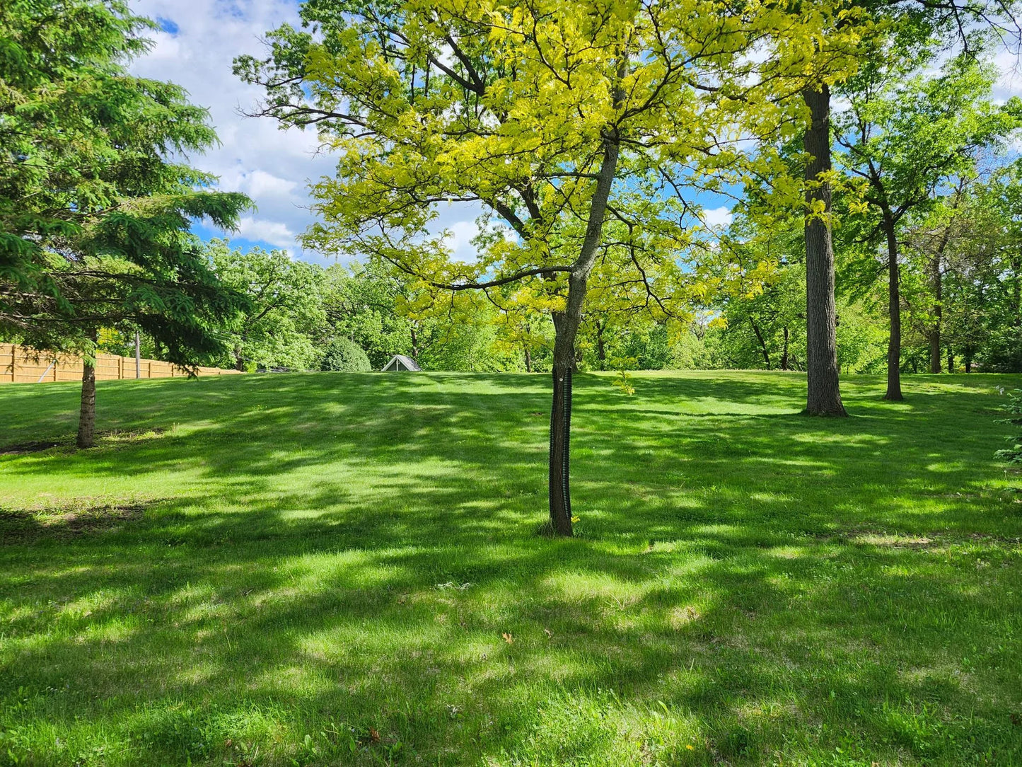 XXXX Robinwood Drive, Minnetonka, MN 55345