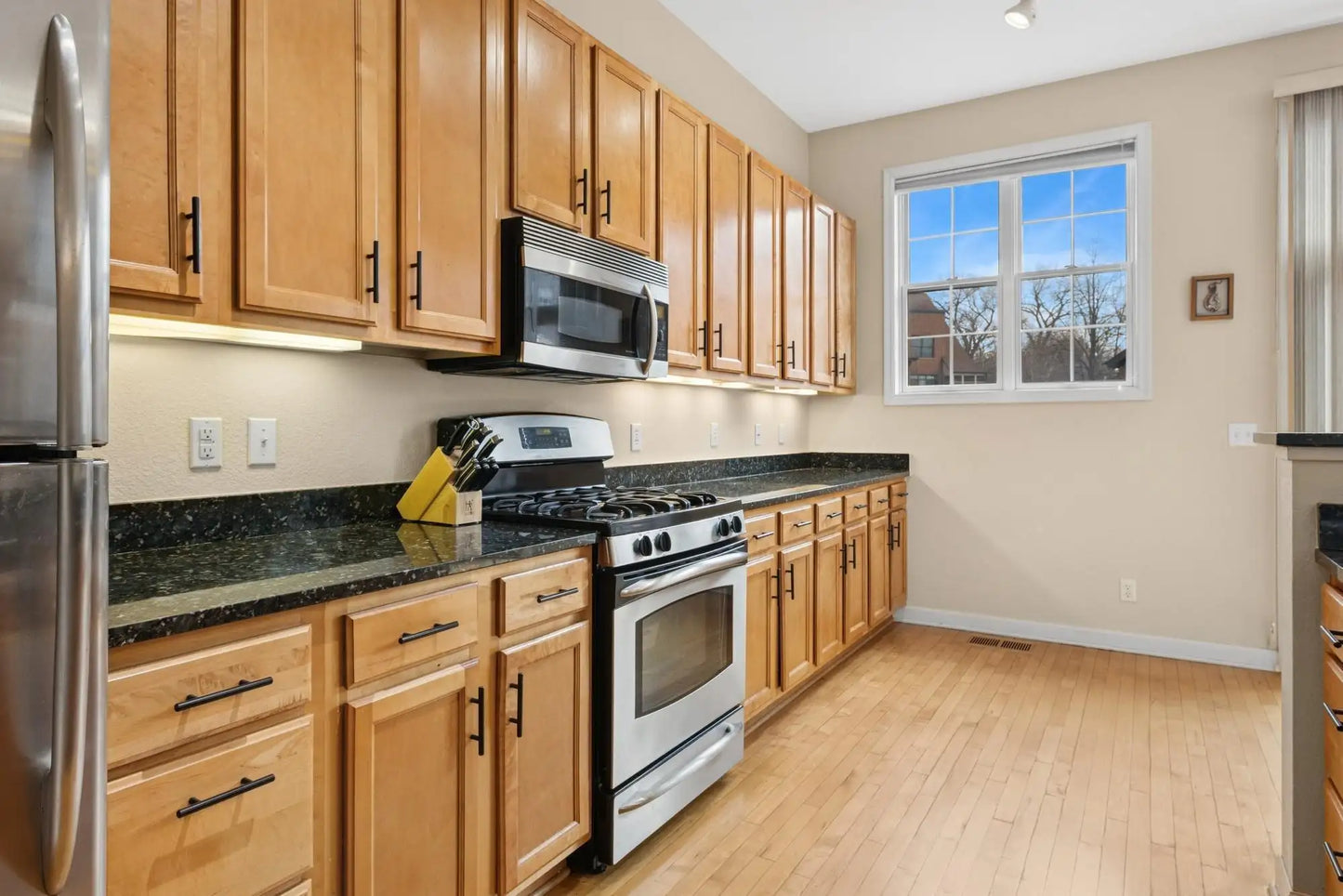 831 River Mews Court, Minneapolis, MN 55414