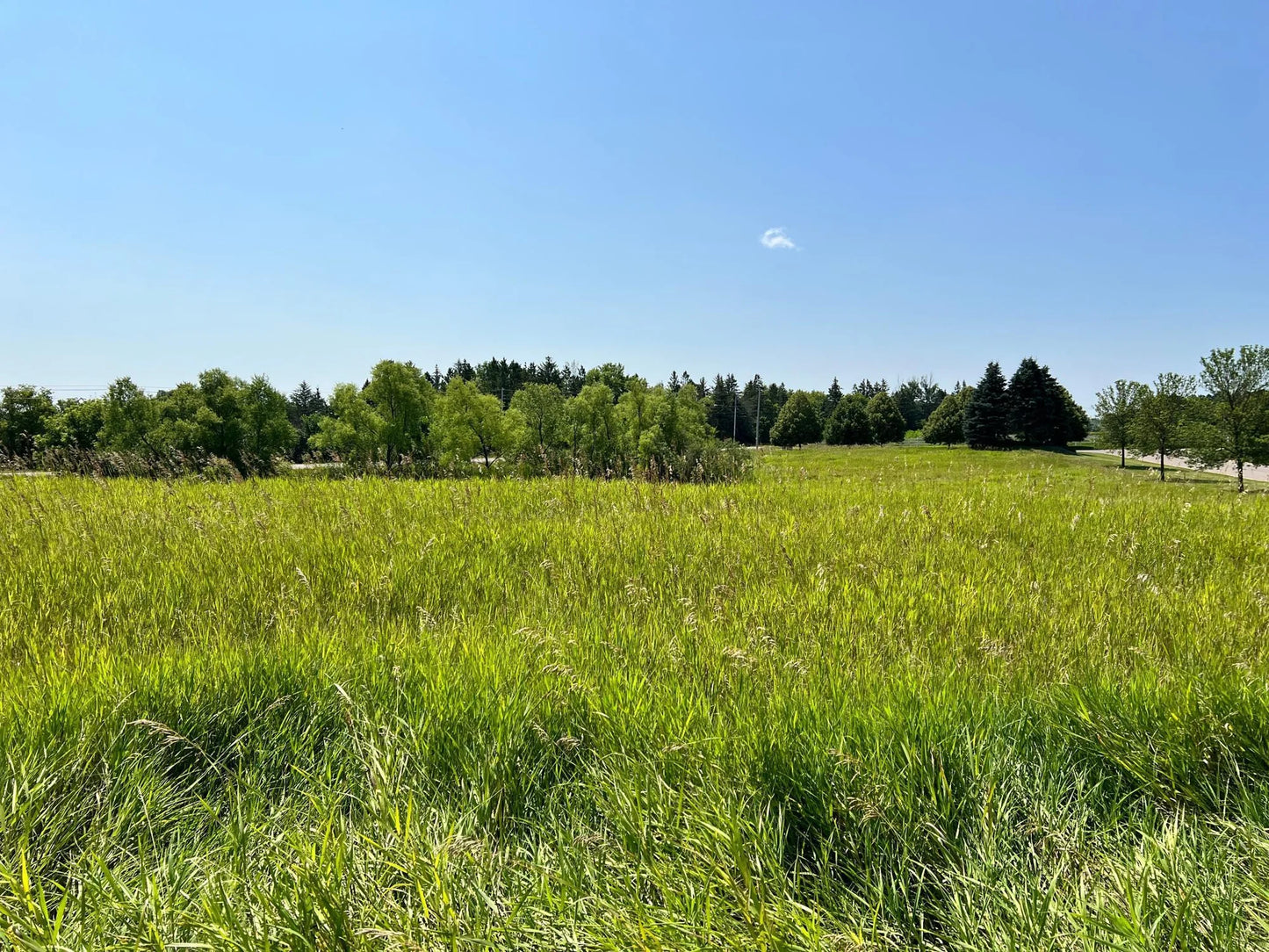 0 Foxfield Drive, Prior Lake, MN 55372