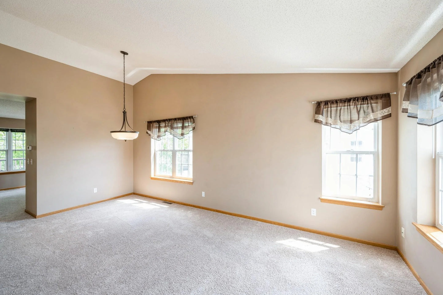 1005 Providence Drive, Shakopee, MN 55379