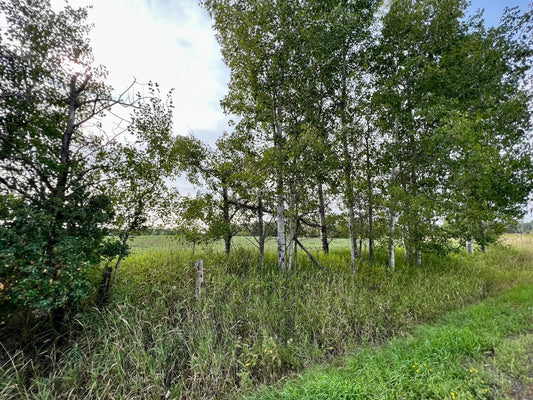 XXXXX Jeffrey Ave N - Parcel A , Hugo, MN 55038