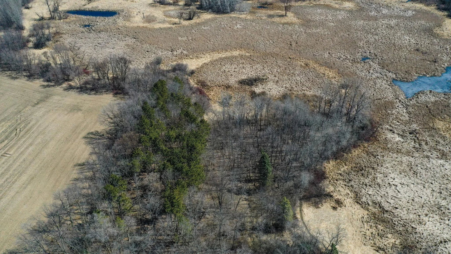 XXXXX Elmcrest Avenue, Forest Lake, MN 55025