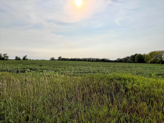 XXXXX Jeffrey Ave N - Parcel B , Hugo, MN 55038
