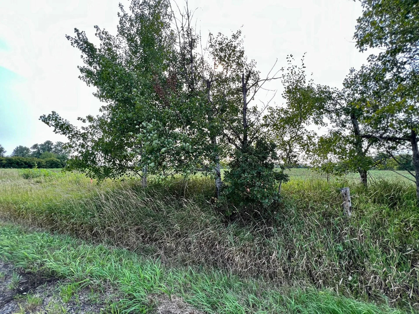 XXXXX Jeffrey Ave N - Parcel A , Hugo, MN 55038