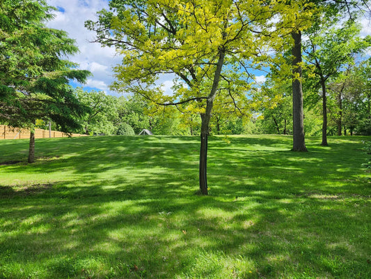 XXXX Robinwood Drive, Minnetonka, MN 55345