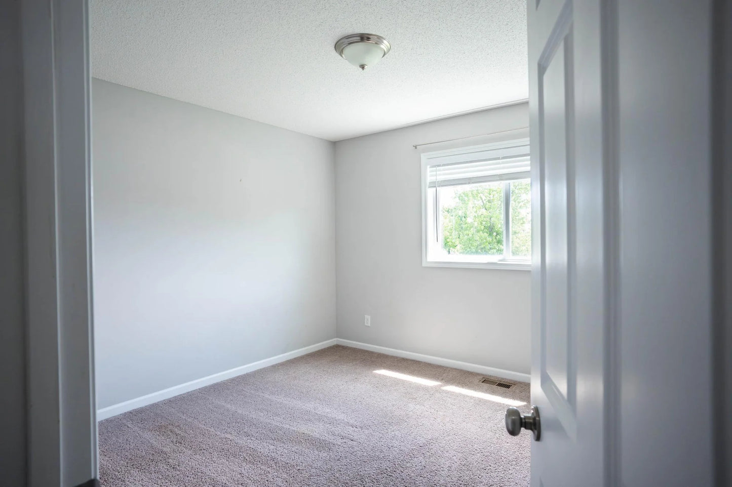 1004 Alexander Court, Montrose, MN 55363